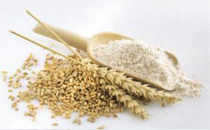 进口面粉含有增白剂 如何挑选优质面粉