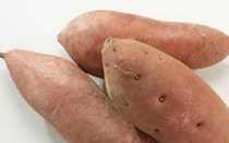 红薯发芽了还能吃吗 发芽的红薯吃了会中毒吗
